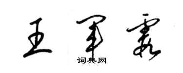 梁錦英王軍霞草書個性簽名怎么寫