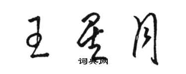 駱恆光王星月草書個性簽名怎么寫