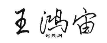 駱恆光王鴻宙行書個性簽名怎么寫