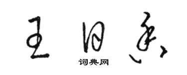 駱恆光王日香草書個性簽名怎么寫