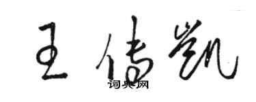 駱恆光王傳凱草書個性簽名怎么寫