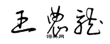 曾慶福王農龍草書個性簽名怎么寫