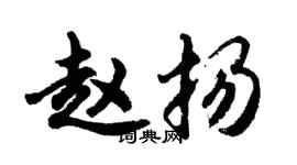 胡問遂趙揚行書個性簽名怎么寫
