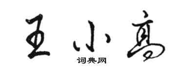 駱恆光王小高行書個性簽名怎么寫