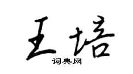 王正良王培行書個性簽名怎么寫