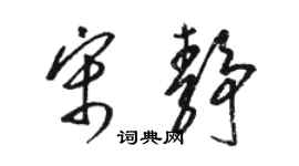 駱恆光宋靜草書個性簽名怎么寫