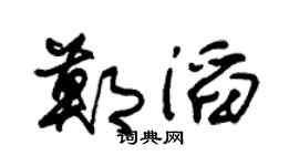 朱錫榮鄭滔草書個性簽名怎么寫