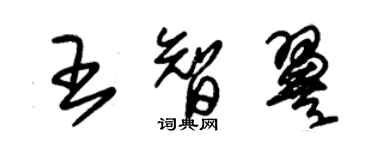 朱錫榮王智翼草書個性簽名怎么寫