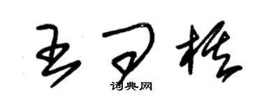 朱錫榮王問棋草書個性簽名怎么寫