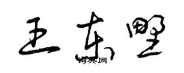 曾慶福王東野草書個性簽名怎么寫
