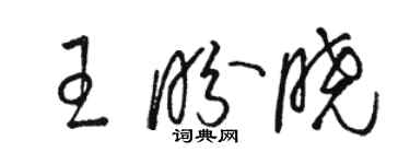 駱恆光王盼曉草書個性簽名怎么寫