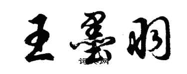 胡問遂王墨羽行書個性簽名怎么寫