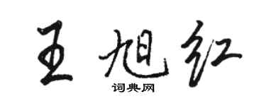 駱恆光王旭紅行書個性簽名怎么寫