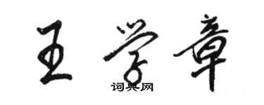 駱恆光王學章行書個性簽名怎么寫