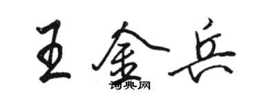 駱恆光王金兵行書個性簽名怎么寫