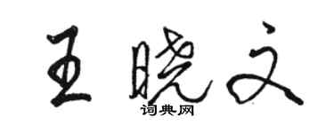 駱恆光王曉文行書個性簽名怎么寫