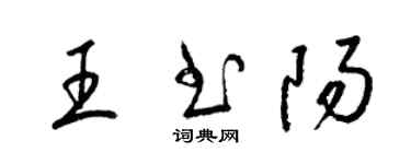 梁錦英王書陽草書個性簽名怎么寫