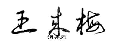 曾慶福王來梅草書個性簽名怎么寫