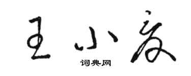 駱恆光王小夏草書個性簽名怎么寫