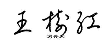 梁錦英王樹紅草書個性簽名怎么寫