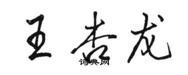 駱恆光王杏龍行書個性簽名怎么寫