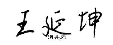 王正良王延坤行書個性簽名怎么寫