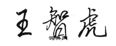 駱恆光王智虎行書個性簽名怎么寫