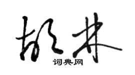 駱恆光胡林草書個性簽名怎么寫