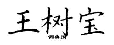 丁謙王樹寶楷書個性簽名怎么寫