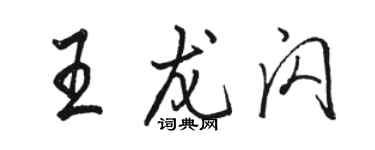 駱恆光王龍閃行書個性簽名怎么寫