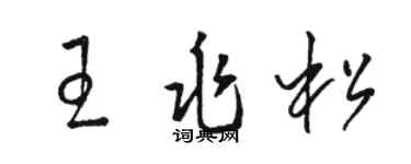 駱恆光王兆松草書個性簽名怎么寫