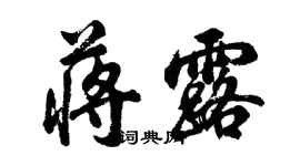 胡問遂蔣露行書個性簽名怎么寫