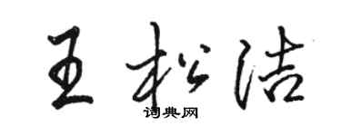 駱恆光王松潔行書個性簽名怎么寫