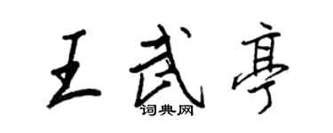 王正良王武亭行書個性簽名怎么寫