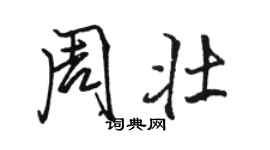 駱恆光周壯行書個性簽名怎么寫