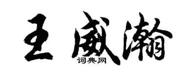 胡問遂王威瀚行書個性簽名怎么寫