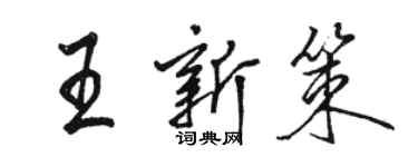 駱恆光王新策行書個性簽名怎么寫