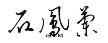 駱恆光石鳳蘭草書個性簽名怎么寫