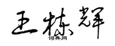 曾慶福王棟輝草書個性簽名怎么寫