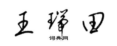 梁錦英王瑞田草書個性簽名怎么寫