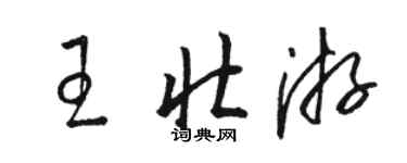 駱恆光王壯遊草書個性簽名怎么寫