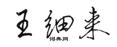 駱恆光王細來行書個性簽名怎么寫