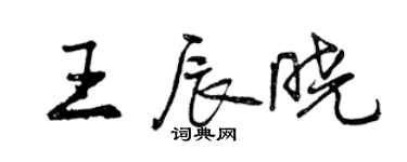 曾慶福王辰曉行書個性簽名怎么寫