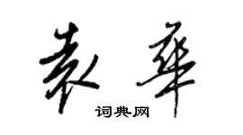 王正良袁華行書個性簽名怎么寫