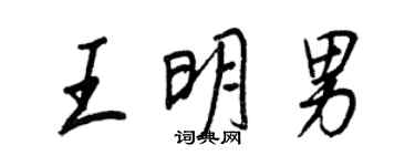 王正良王明男行書個性簽名怎么寫