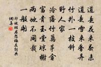 江梅引·憶江梅原文_江梅引·憶江梅的賞析_古詩文