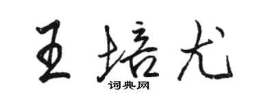 駱恆光王培尤行書個性簽名怎么寫