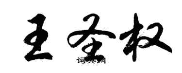 胡問遂王聖權行書個性簽名怎么寫