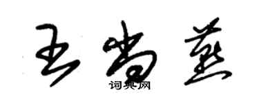 朱錫榮王尚燕草書個性簽名怎么寫