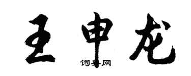 胡問遂王申龍行書個性簽名怎么寫